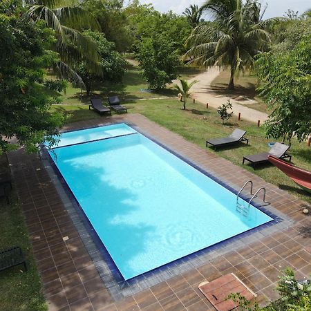Yala Peace Cottages Tissamaharama Kültér fotó