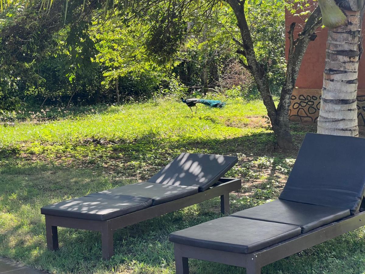 Yala Peace Cottages Tissamaharama Kültér fotó