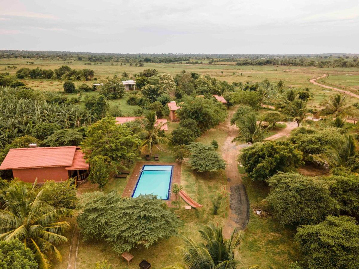 Yala Peace Cottages Tissamaharama Kültér fotó