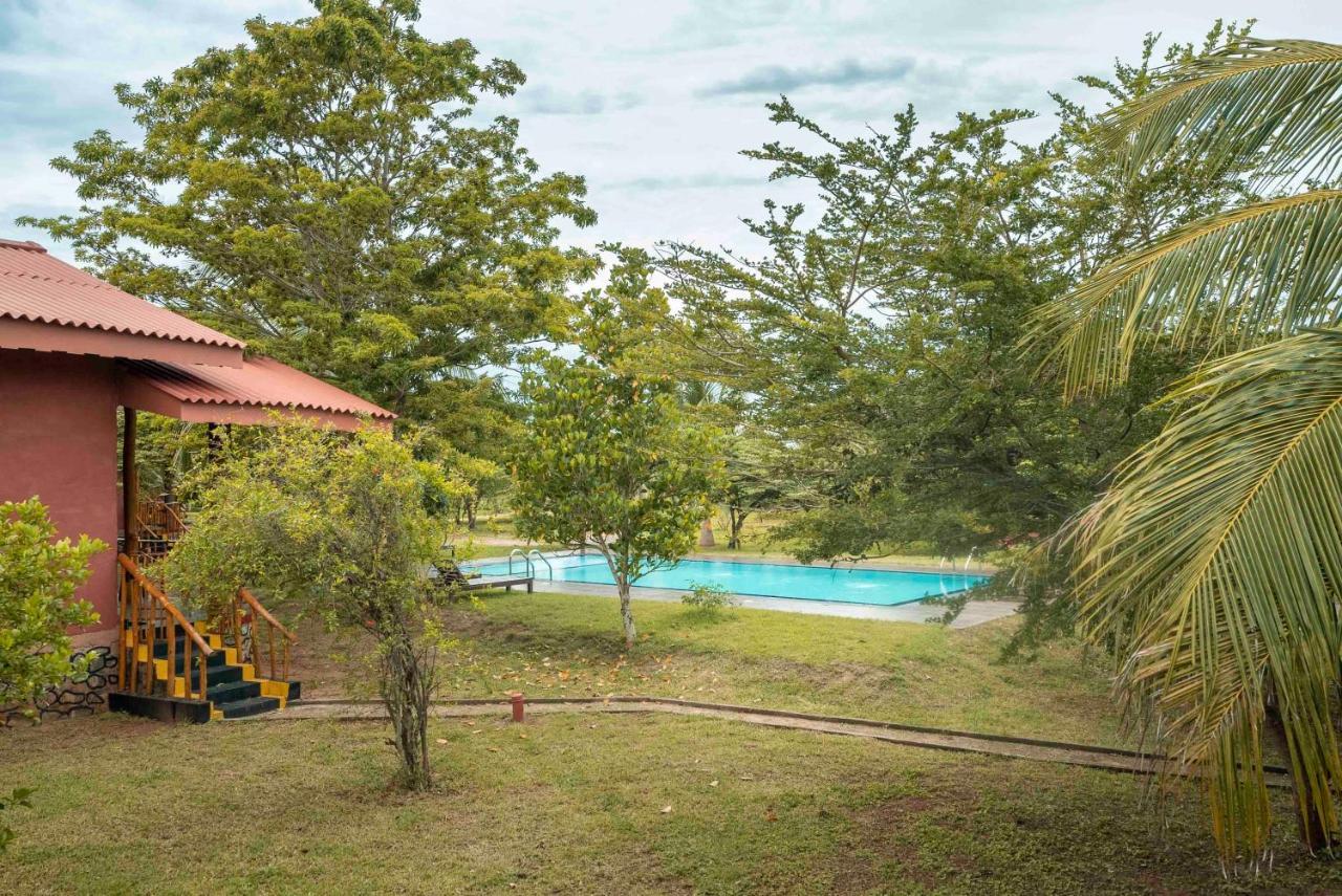 Yala Peace Cottages Tissamaharama Kültér fotó
