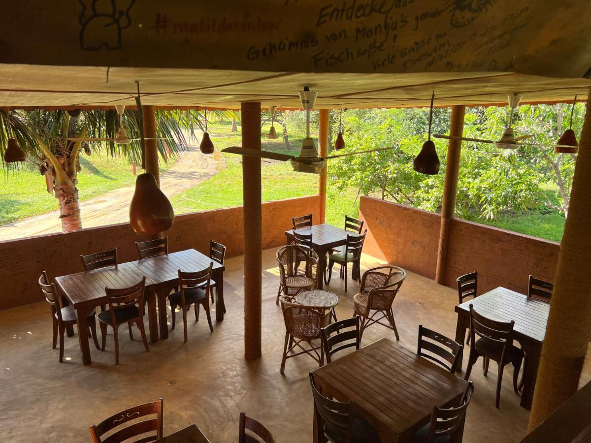 Yala Peace Cottages Tissamaharama Kültér fotó