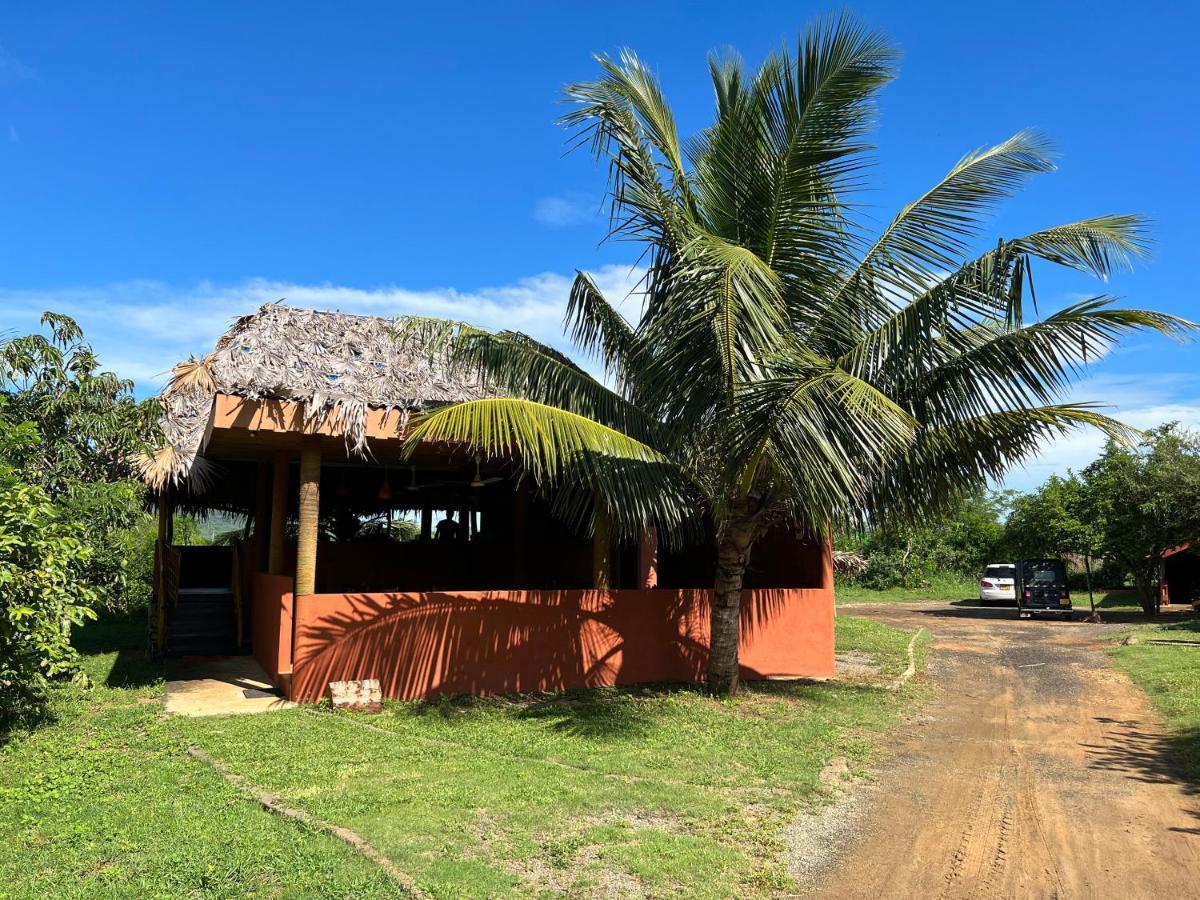 Yala Peace Cottages Tissamaharama Kültér fotó