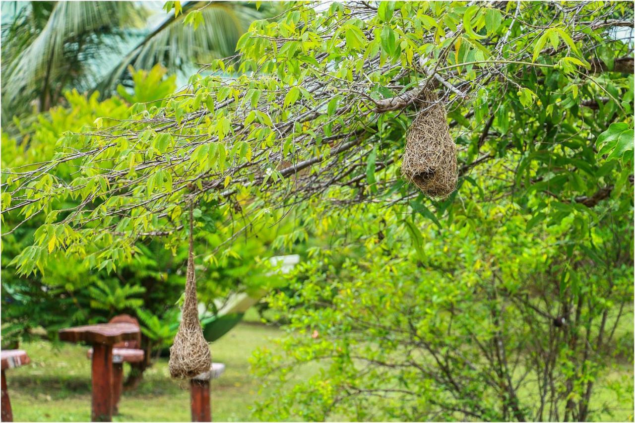 Yala Peace Cottages Tissamaharama Kültér fotó