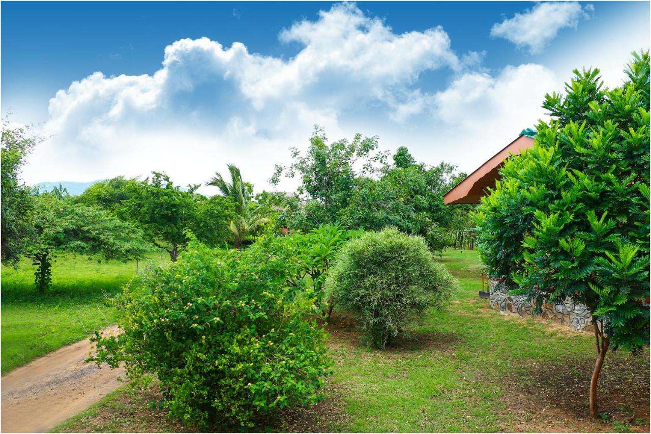 Yala Peace Cottages Tissamaharama Kültér fotó