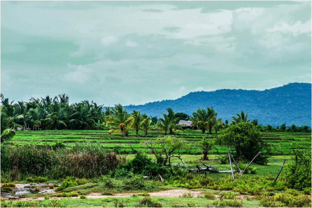 Yala Peace Cottages Tissamaharama Kültér fotó