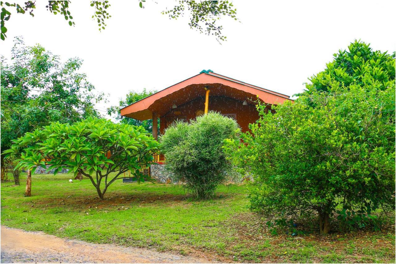 Yala Peace Cottages Tissamaharama Kültér fotó